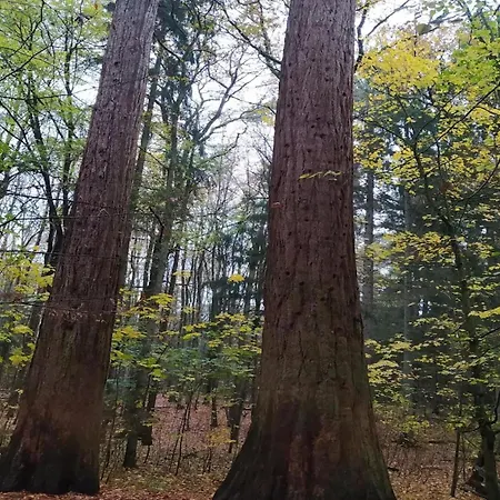 Chalet, Hébergement de vacances Wendorf (Kuhlen-Wendorf)