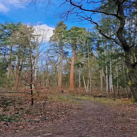 Chalet, Hébergement de vacances