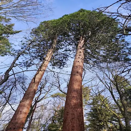 Hébergement de vacances Chalet,