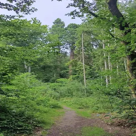 Chalet, Hébergement de vacances Wendorf (Kuhlen-Wendorf)