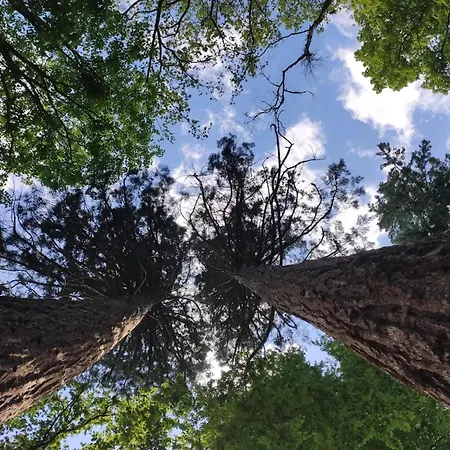 Hébergement de vacances Chalet, Wendorf (Kuhlen-Wendorf)