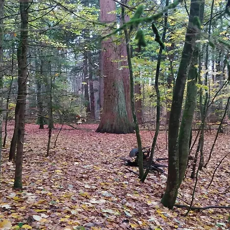 度假居 Chalet, *