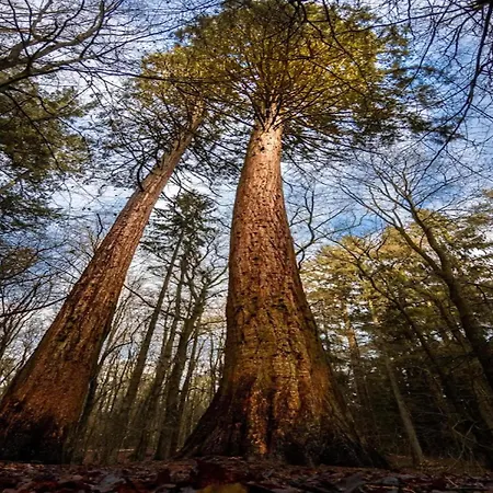 Hébergement de vacances Chalet, *